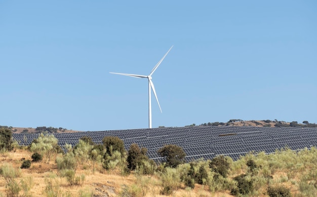 Solar energy panel photovoltaic cell and wind turbine farm power generator in nature landscape