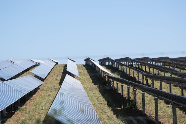 L'energia verde della fattoria solare dalla luce del sole mostra un sacco di lastre di celle solari. messa a fuoco selettiva.