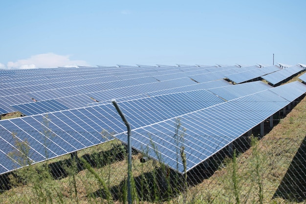 Зеленая энергия солнечной фермы от солнечного света показывает много пластин солнечных батарей. Выборочный фокус.