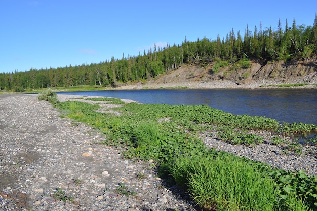 Solar landscape to the North of Ural river