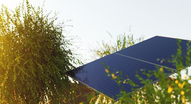 Solar panel among green trees at sunset