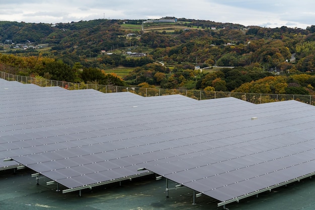 Solar panel plant