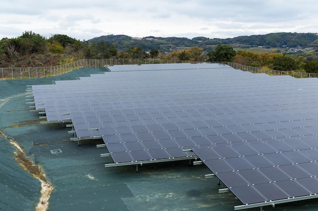 Solar panel plant