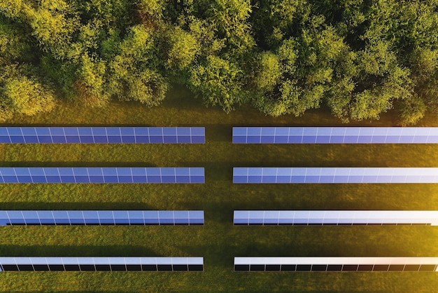 Solar panels aerial view among green trees in the forest at sunset