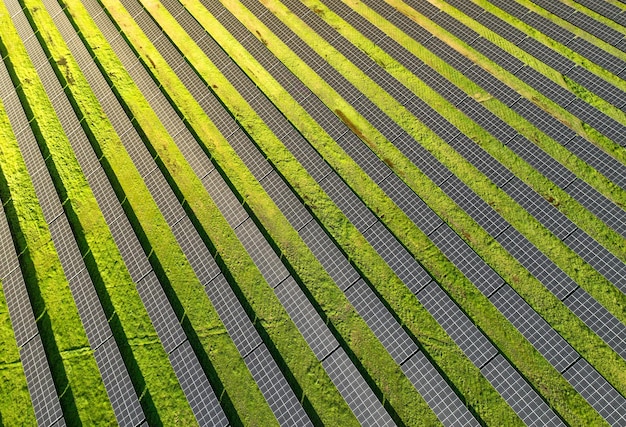 Solar panels on field in summer aerial drone view