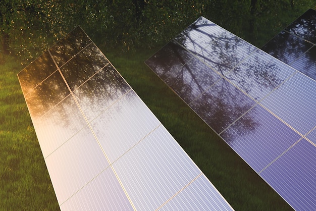 Solar panels in the fog among green trees in the forest at sunset