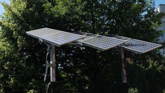 Solar panels in green foliage of trees