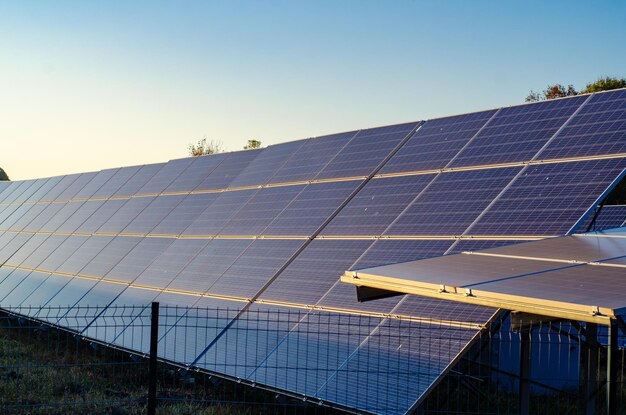 Foto pannelli solari installati in natura nel campo ambiente energetico ecologico pannelli solari
