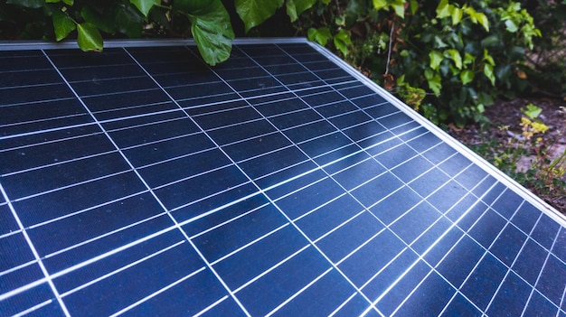 Solar panels in the middle of vegetation