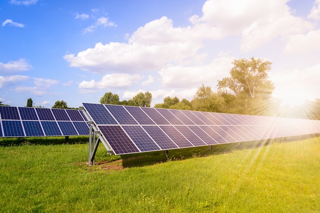 Solar panels mounted on the ground