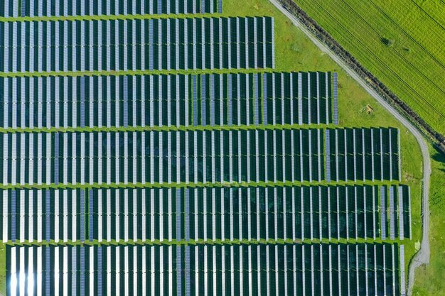Фото Солнечные панели на поле летом, взгляд с дрона