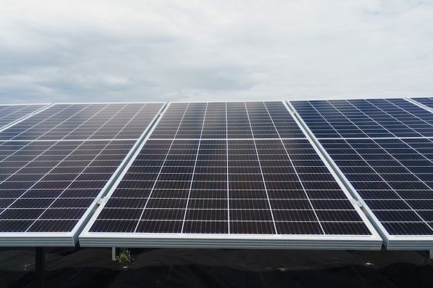 Solar panels stand in row on the ground