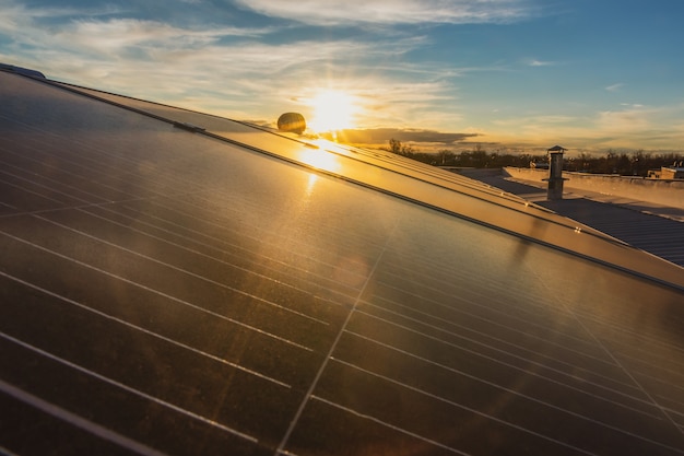 Solar panels with water spray, at sunset.