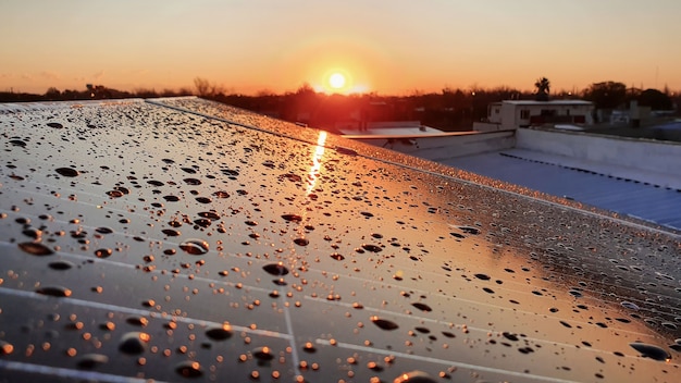 Solar panels with water spray, at sunset.