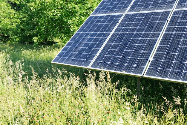 Solar power plant at sunrise with green environment