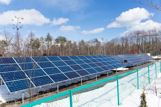 写真 太陽光発電所