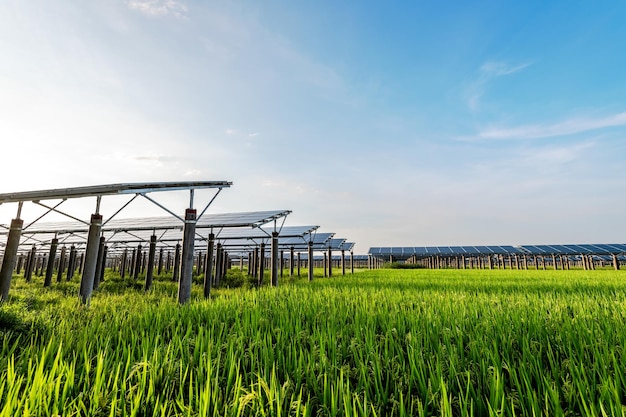 Solar power plant