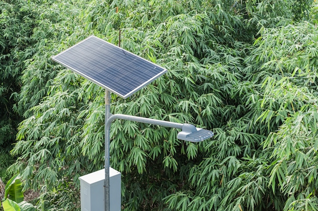 Foto iluminazione pubblica autoalimentata solare sopra gli alberi di bambù verdi.