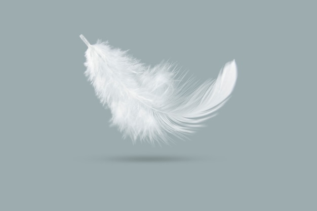 Photo solf white feather falling in the air.