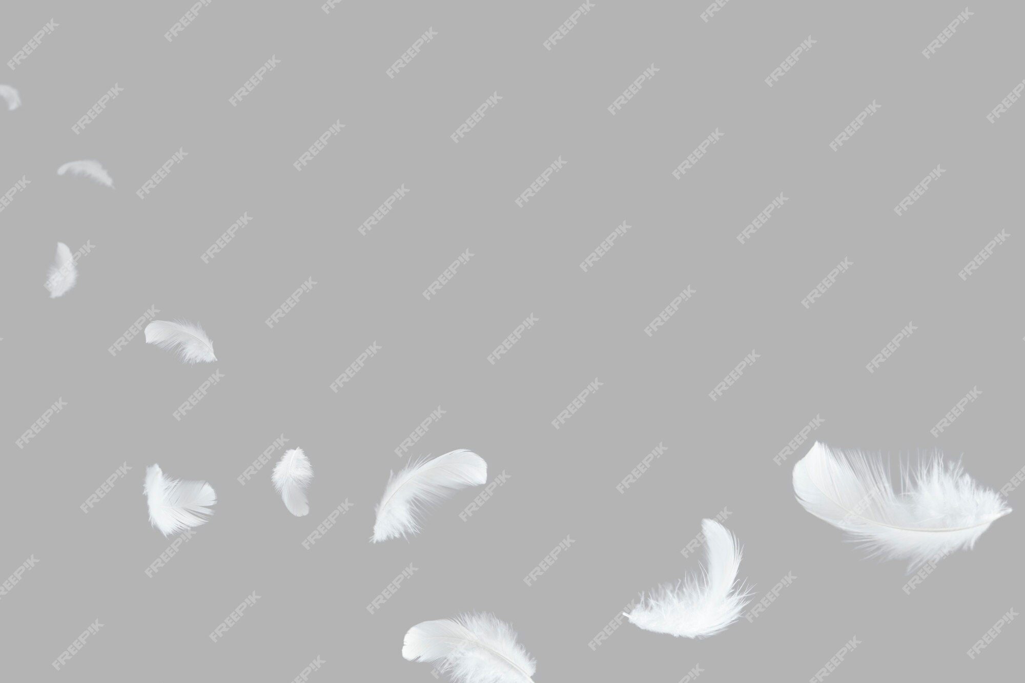 solf white feathers falling in the air. black background. Stock Photo