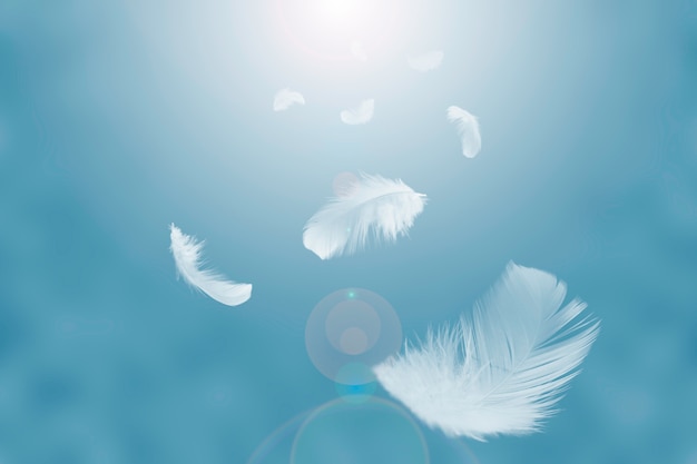 solf white feathers floating in the sky.