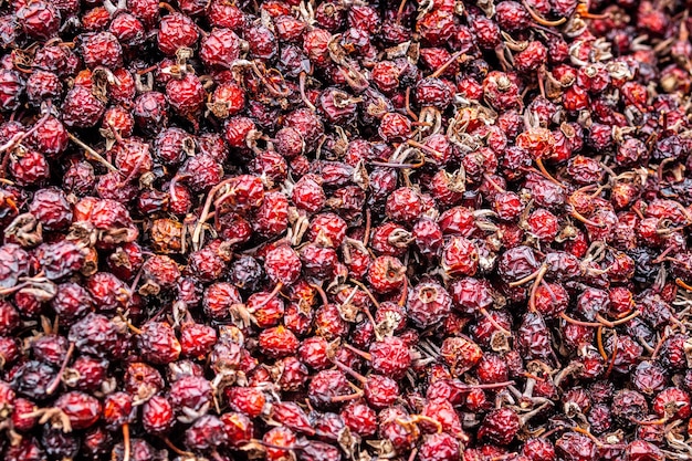 Solid background of fresh ripe and natural dried rose hips. Top view