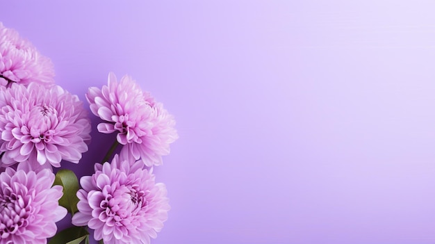 Solid lilac purple background