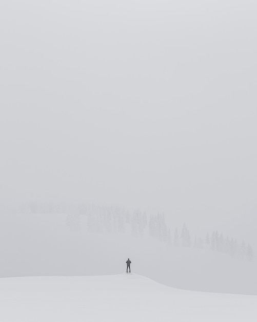 Photo solitude in a foggy winter morning on the mountain