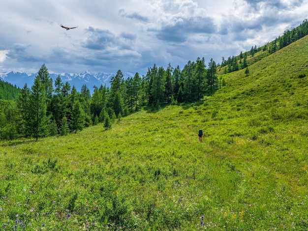 Solo hiking in the picturesque summer mountains. Heavy climb in the mountains with a backpack. Travel lifestyle, hiking hard track, adventure concept in summer vacation.