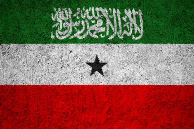 Somaliland flag painted on grunge wall