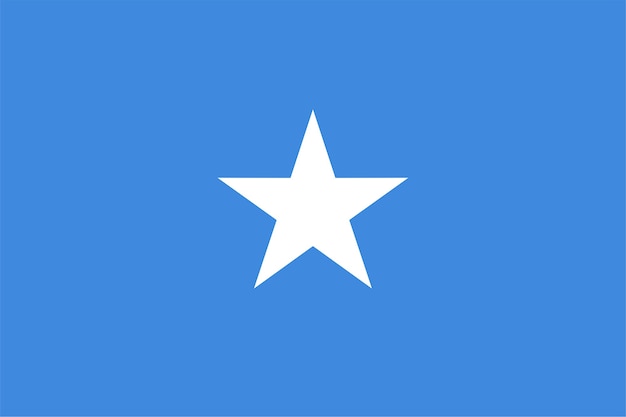 Somalische vlag van Somalië