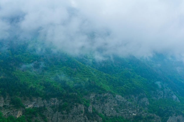 Somber berglandschap beboste hellingen bedekt met regenwolken