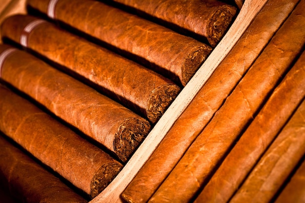 Some cigars lay in humidor