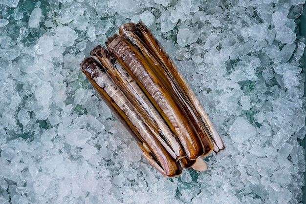 생선 장수의 카운터에 있는 얼음 위에 있는 맛있는 신선한 면도칼 조개