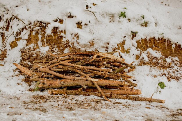 Photo some fire wood in a winter background in white color