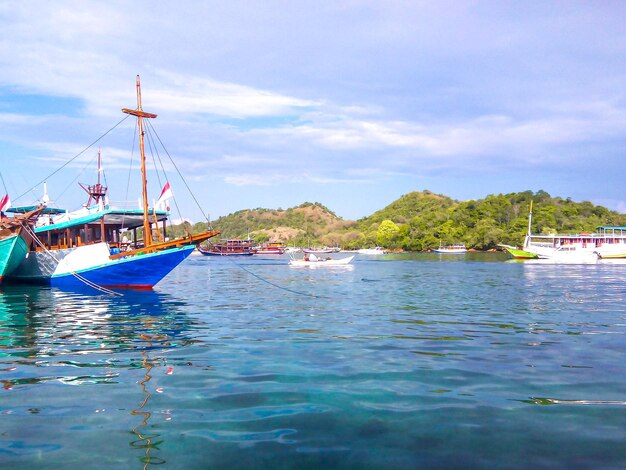 some fishing boats around the pier