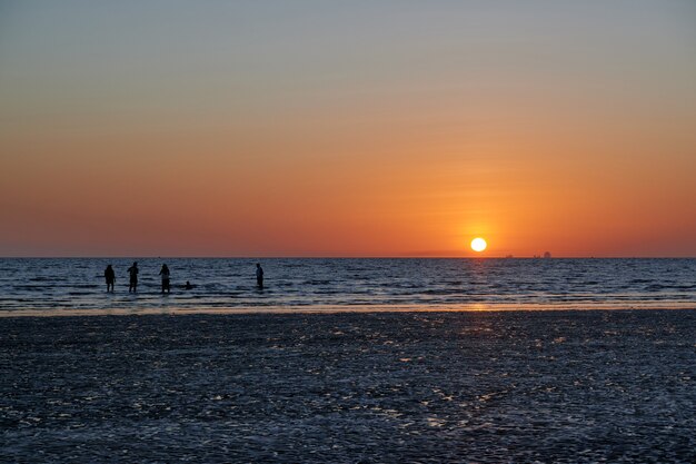 Some people are on a beach during sunset