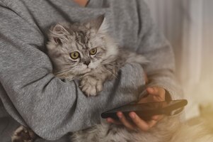 Фото Несколько фотографий молодой женщины, использующей смартфон, сидящей в парке с милой кошкой.