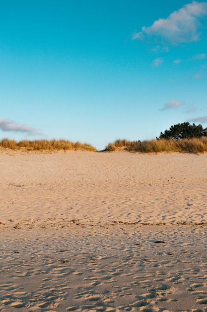 Foto alcune dune di sabbia in spiaggia durante una giornata estiva dai toni colorati