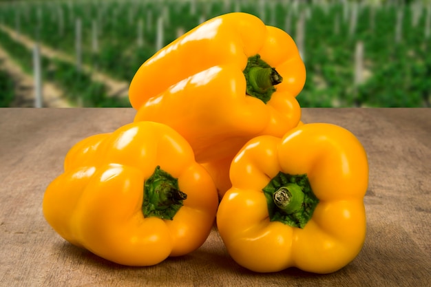 Some yellow peppers over a wooden surface. Fresh vegetable.