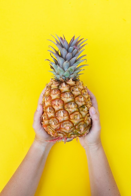 Someones hands holding raw pineapple on yellow background