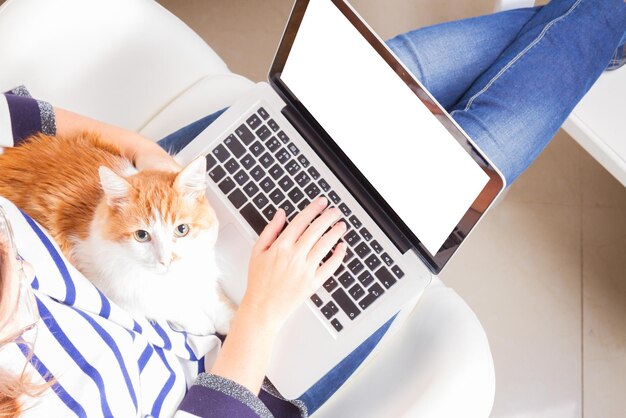 Someones sitting on chair and using laptop with cat on the lap copy space on empty screen