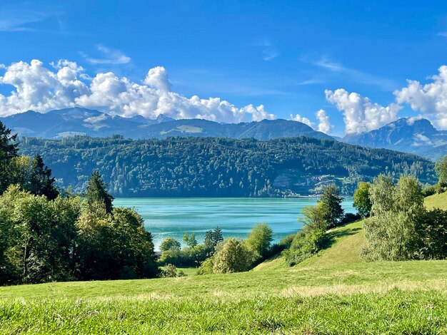 Sommerzeit see und berge