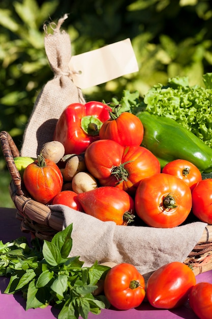 Sommige verse biologische groenten op tafel in een tuin