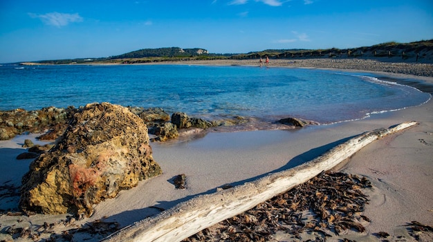 Son Bou beach in menorca balearic island