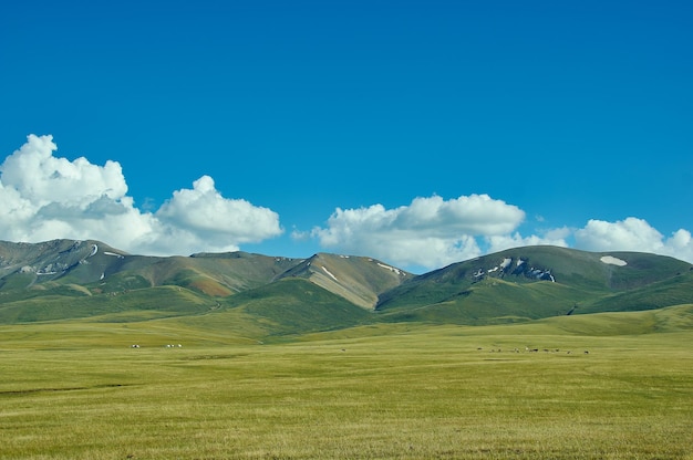 Foto son kul bergmeer in kirgizië ligt op een hoogte van meer dan 3000 meter