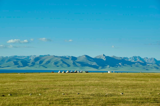 Son kul mountain lake in kyrgyzstan is located at an altitude of over 3000 meters