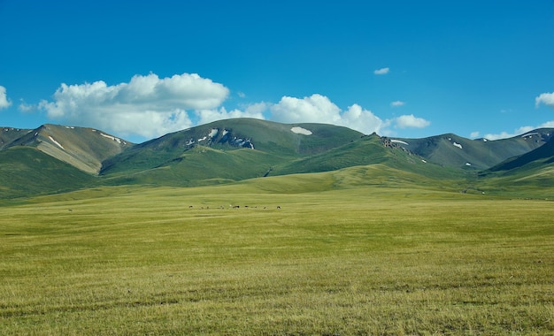 son kul mountain lake in kyrgyzstan is located at an altitude of over 3000 meters