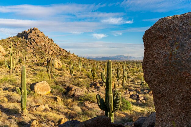 Foto un pomeriggio nel deserto di sonora nella zona montuosa di granito