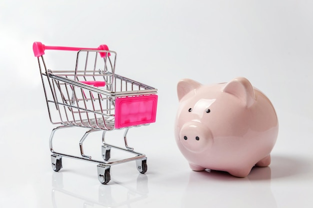 Sopping cart and piggy bank on white background